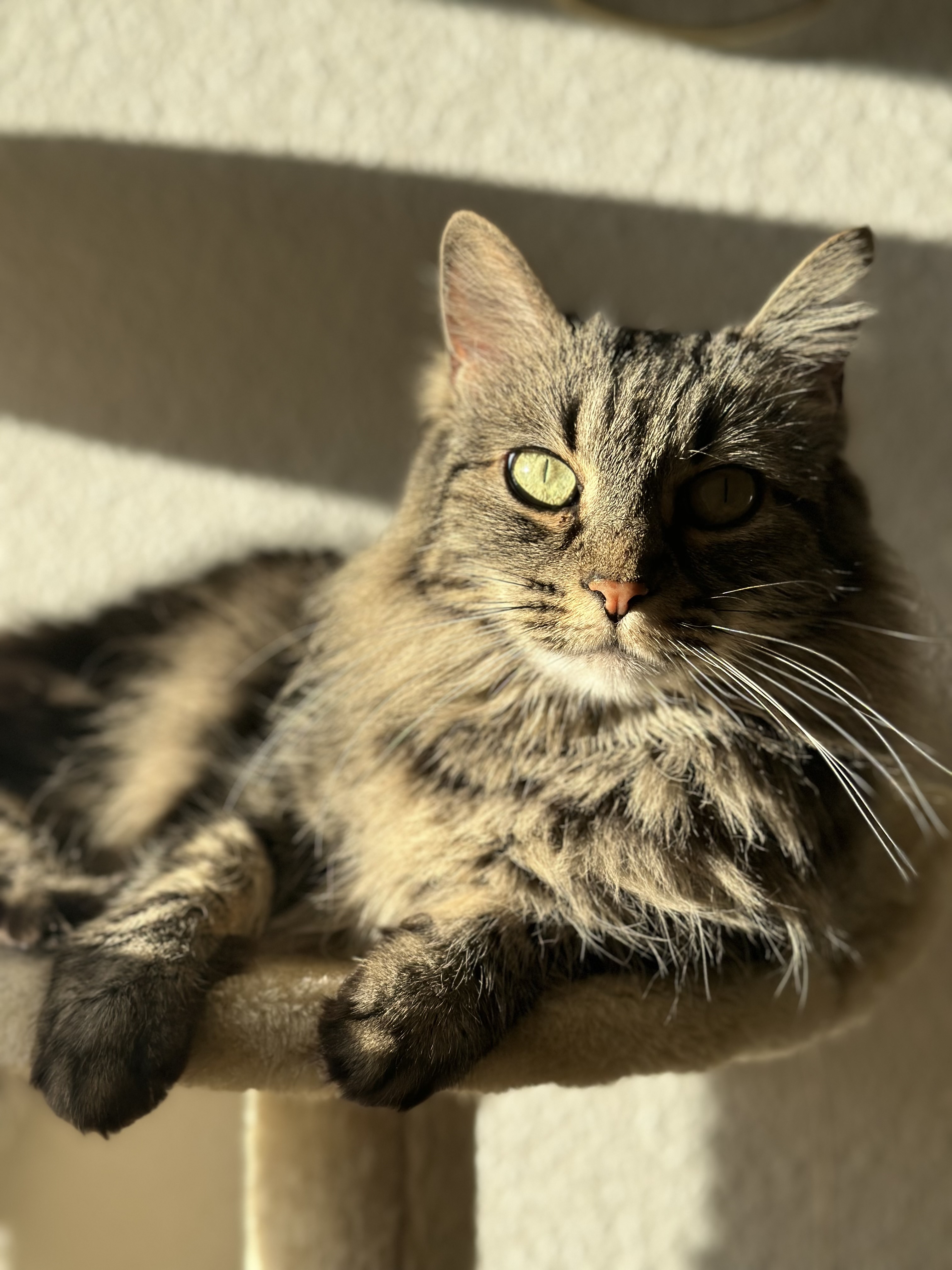 Keisha